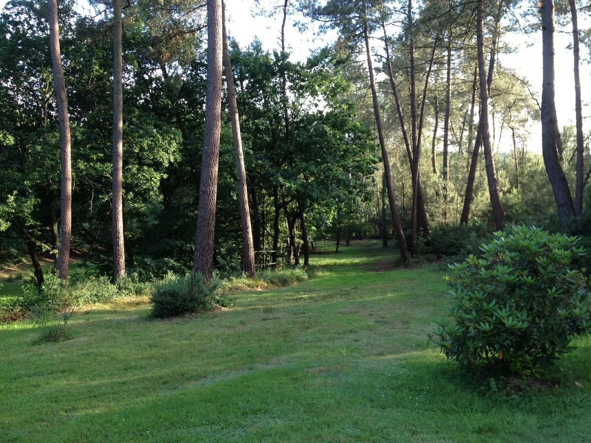 L'Hippocampe Bed & Breakfast Sérent Eksteriør bilde