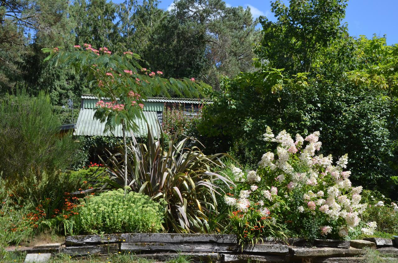 L'Hippocampe Bed & Breakfast Sérent Eksteriør bilde