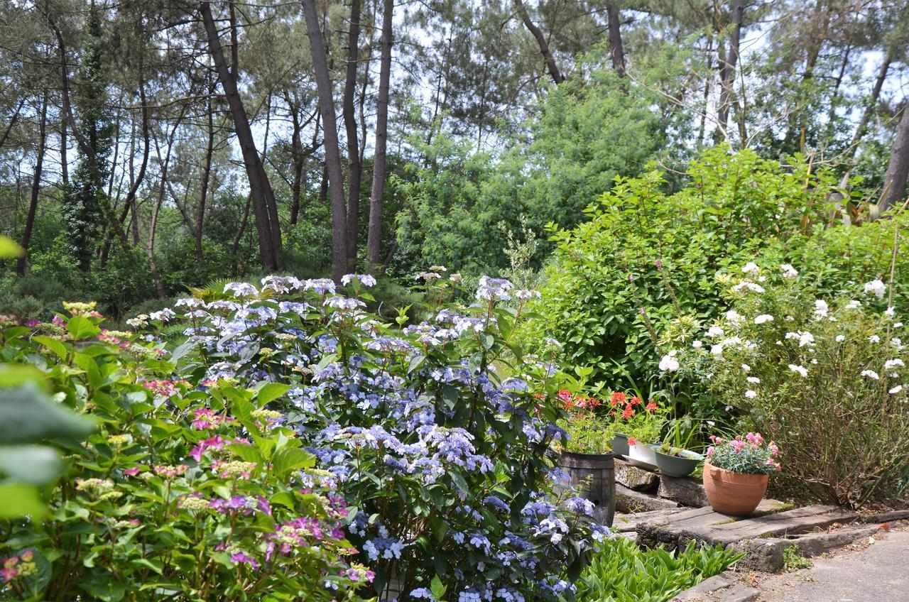 L'Hippocampe Bed & Breakfast Sérent Eksteriør bilde